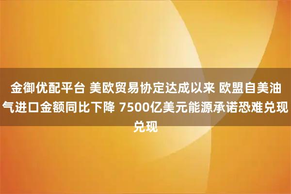 金御优配平台 美欧贸易协定达成以来 欧盟自美油气进口金额同比下降 7500亿美元能源承诺恐难兑现