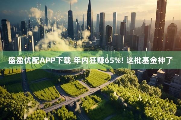 盛盈优配APP下载 年内狂赚65%! 这批基金神了