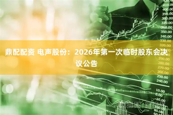 鼎配配资 电声股份：2026年第一次临时股东会决议公告