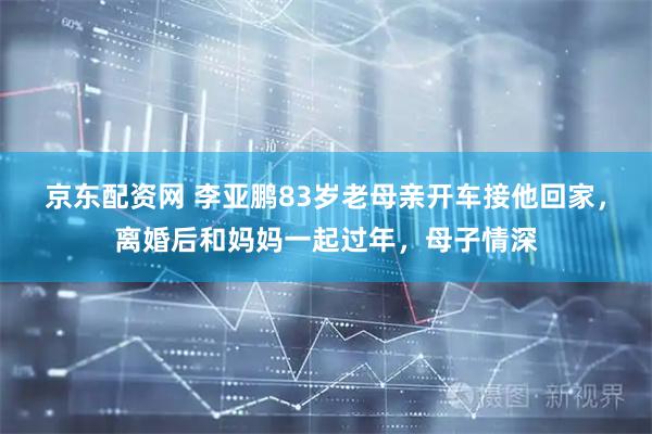 京东配资网 李亚鹏83岁老母亲开车接他回家，离婚后和妈妈一起过年，母子情深