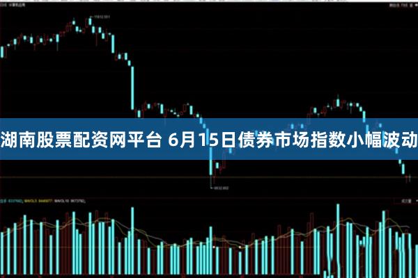 湖南股票配资网平台 6月15日债券市场指数小幅波动